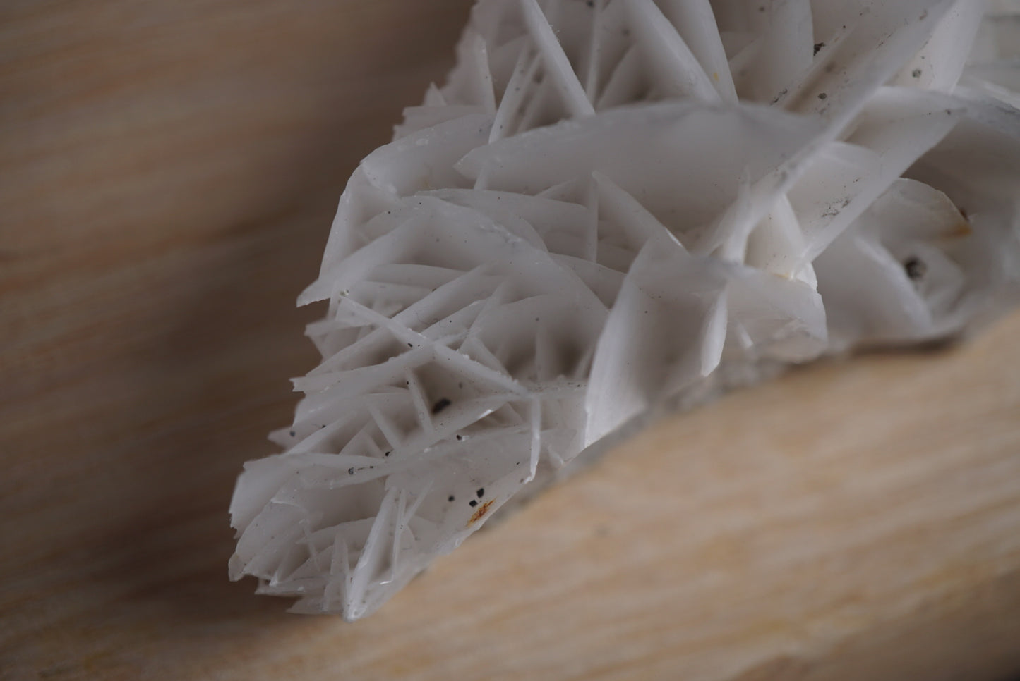 Rose Calcite