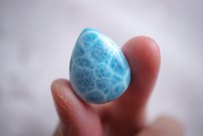 拉利瑪 ︳海紋石
