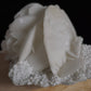 Rose Calcite