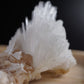 Scolecite Spray Natural Formation