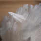 Scolecite Spray Natural Formation