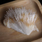Scolecite Spray Natural Formation