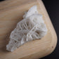 Rose Calcite