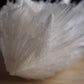 Scolecite Spray Natural Formation